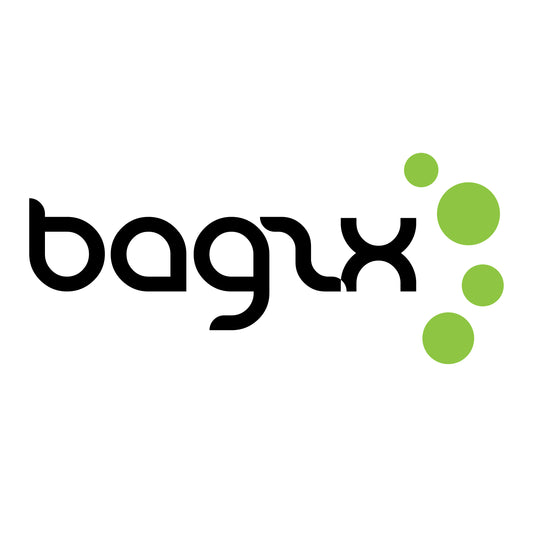 About Bagzx Store